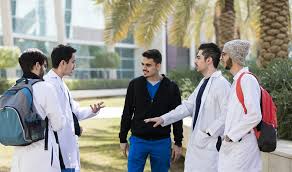 Undergraduate Academics